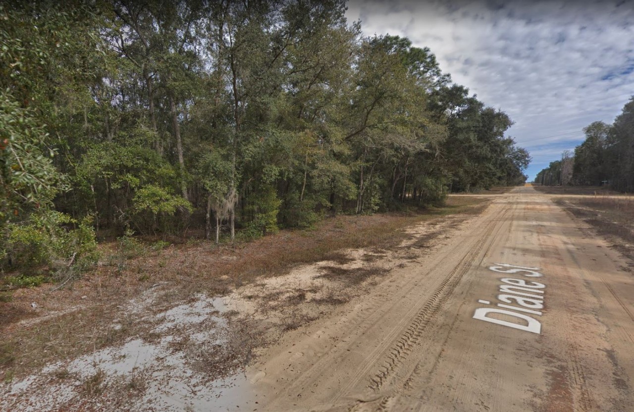 Diane Street, Interlachen, FL